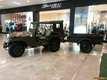 Jeep Willys M38A1