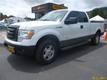 Ford F-150 Otros