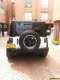 Jeep Wrangler SPORT MT 3800CC LONA 2P